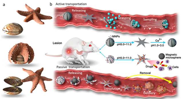 千赢国际qy(中国)唯一官方网站