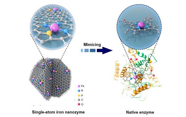 千赢国际qy(中国)唯一官方网站