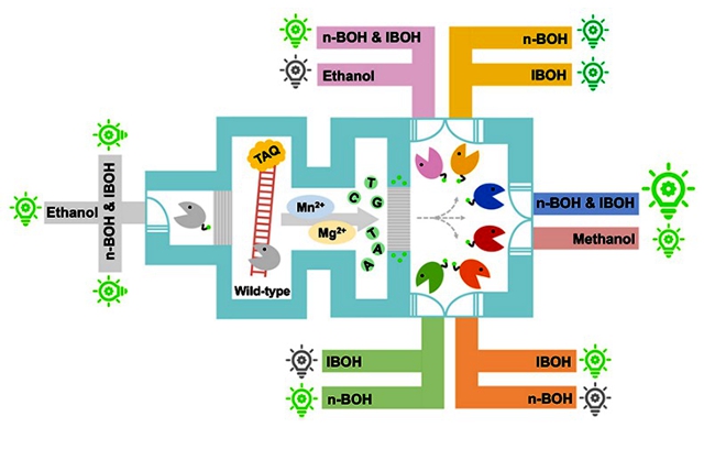 千赢国际qy(中国)唯一官方网站