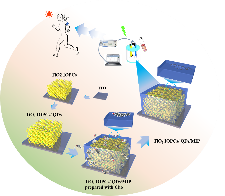 千赢国际qy(中国)唯一官方网站