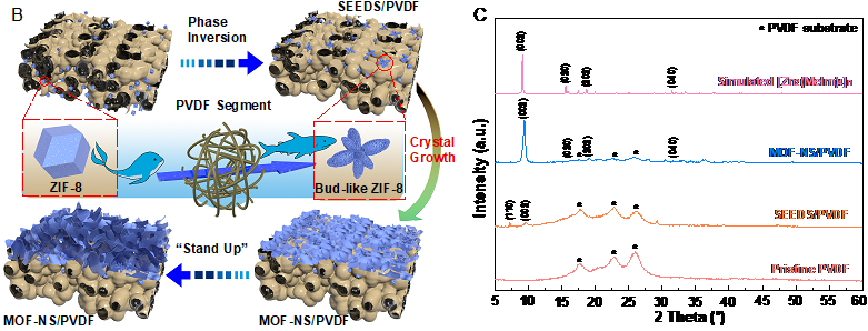 千赢国际qy(中国)唯一官方网站