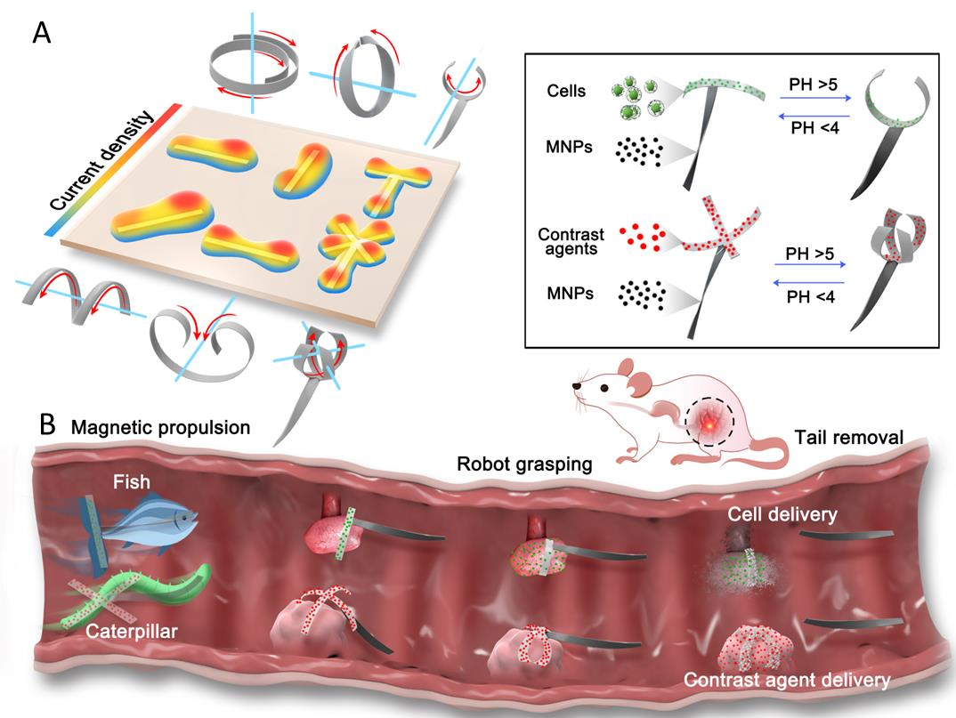 千赢国际qy(中国)唯一官方网站