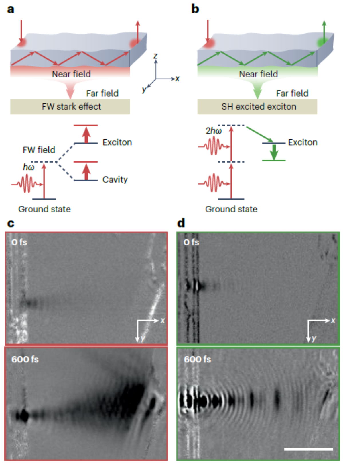 千赢国际qy(中国)唯一官方网站
