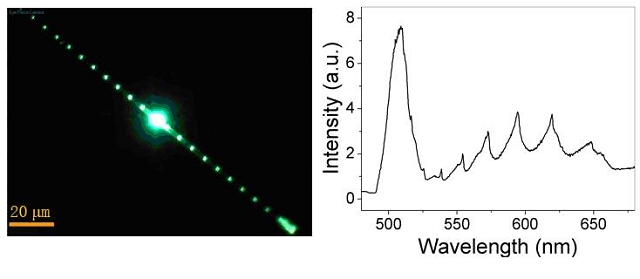 千赢国际qy(中国)唯一官方网站