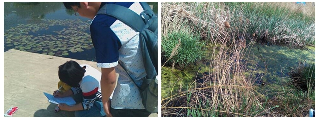 千赢国际qy(中国)唯一官方网站