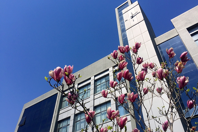 千赢国际qy(中国)唯一官方网站