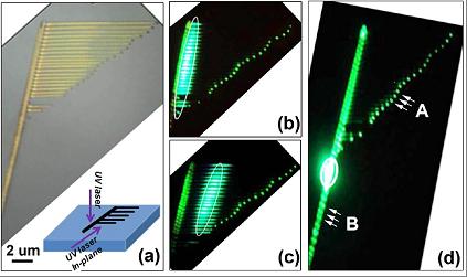 千赢国际qy(中国)唯一官方网站