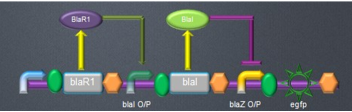 千赢国际qy(中国)唯一官方网站