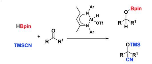 千赢国际qy(中国)唯一官方网站
