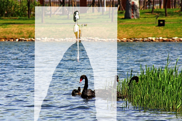 千赢国际qy(中国)唯一官方网站