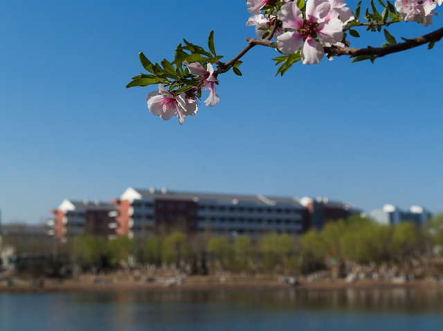 千赢国际qy(中国)唯一官方网站