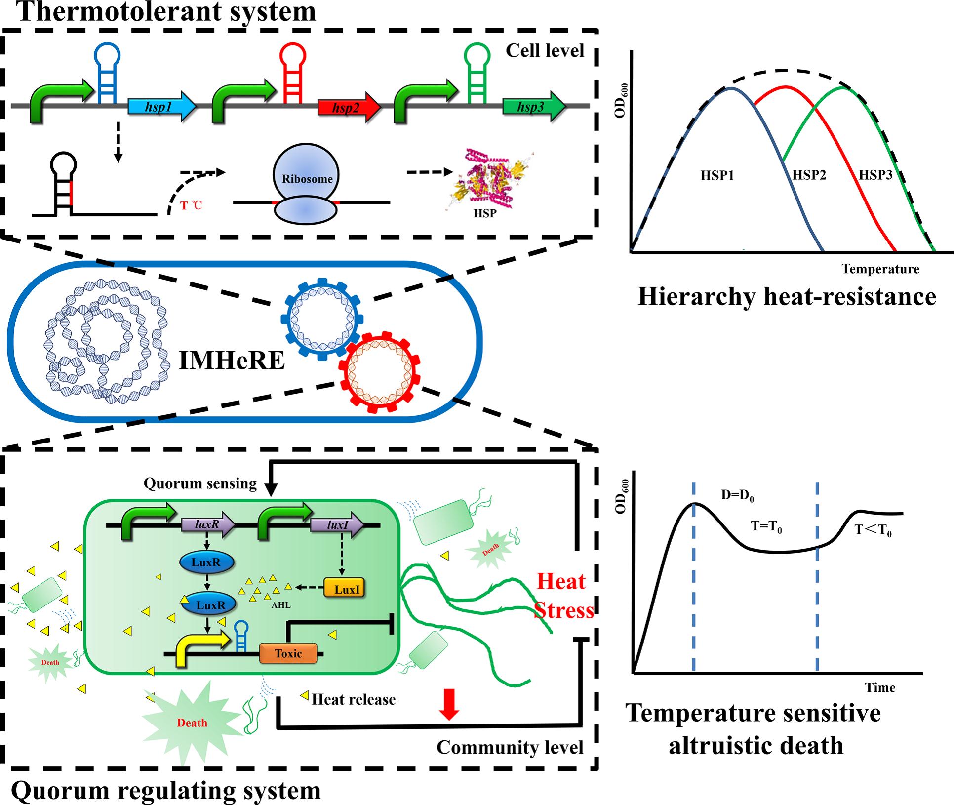 千赢国际qy(中国)唯一官方网站