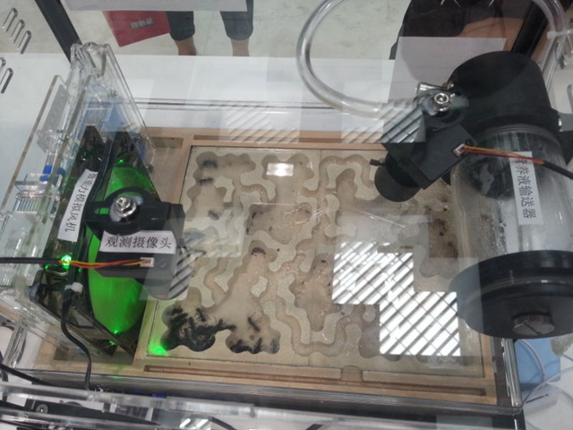 千赢国际qy(中国)唯一官方网站