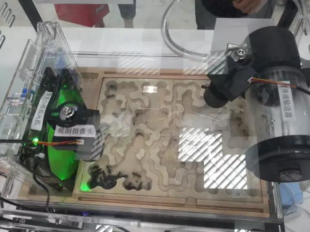 千赢国际qy(中国)唯一官方网站