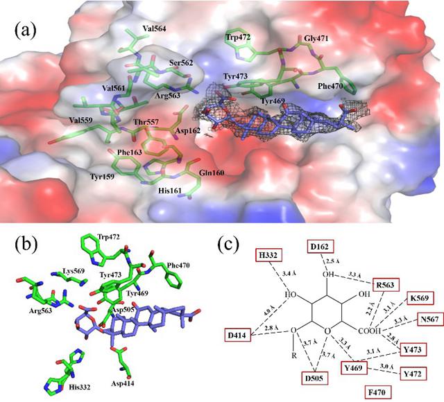 千赢国际qy(中国)唯一官方网站