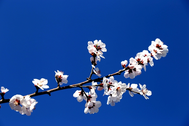 千赢国际qy(中国)唯一官方网站