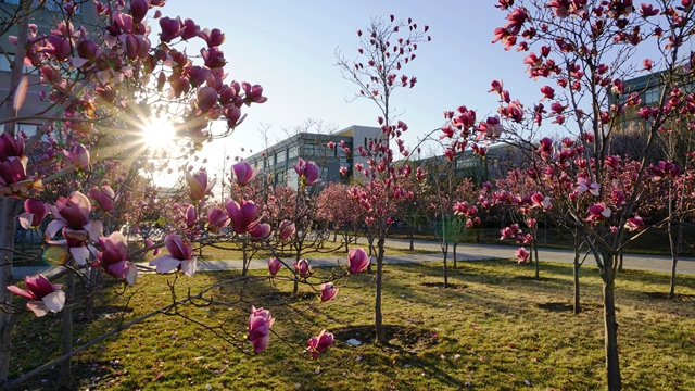 千赢国际qy(中国)唯一官方网站